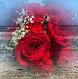 Meet your Posher, Vera